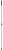 301037.jpg