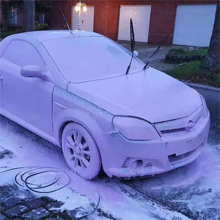professional-foam-cannon-car-wash11549475148.webp