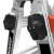 CONQUE4.jpg.webp