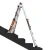 CONQUE3.jpg.webp