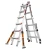 COF1D81.jpg.webp