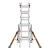 COFC261.jpg.webp
