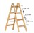 Drewniana-drabina-Euroline-2x4.jpg